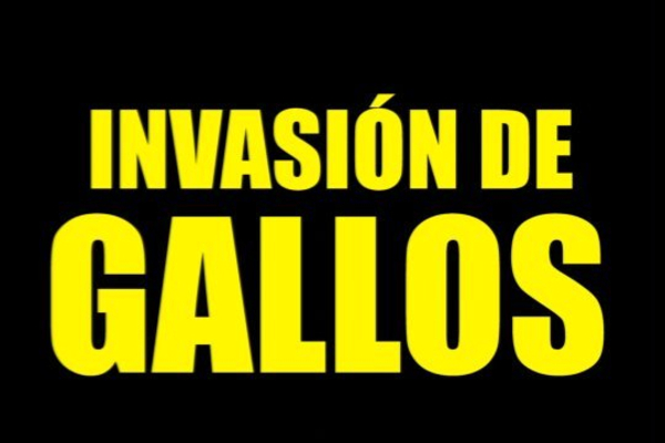 INVASIÓN DE GALLOS E MORÓN DE LA FRONTERA