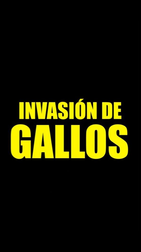 INVASIÓN DE GALLOS E MORÓN DE LA FRONTERA